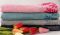 Рушник AE 70х140 Colors Twigs