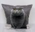 Наволочка декоративна CAT 40*40