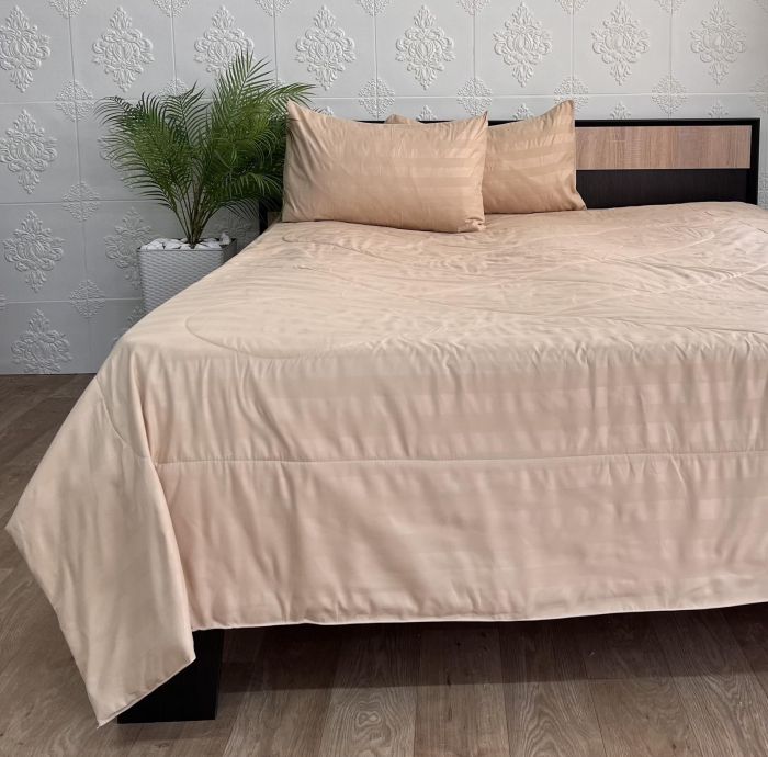 Набір постільної білизни з літньою ковдрою Colorful Home 150х210 см Beige