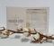 Рушники Maison D'or 4шт Elegance Ecru