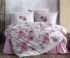 Постільна білизна CLASY ранфорс 160x220 см DESIMA V1 PEMBE