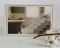 Рушники Maison D'or 4шт Queen 30x50 Ecru - Dark Lilac