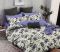 Постільна білизна Pretty 200x220 код 376 (ж)