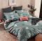 Постільна білизна Pretty 200x220 код 159(ж)