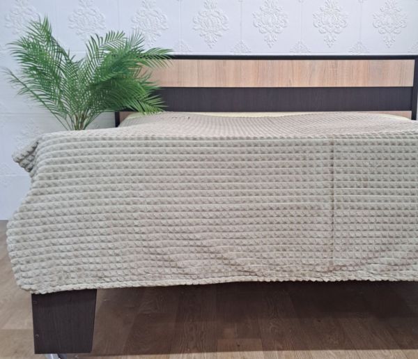 Покривало велюр без упаковки 180х220 Oliva (1627)
