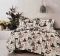 Постільна білизна Pretty 200x220 код 9414