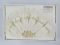 Скатертина KDK Set Maison Royale 160x350+12 psc Cream