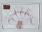 Скатертина KDK Set Maison Royale 160x300+12 psc White