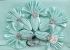 Скатертина Kurdeleli Set Maison Royale 160x220+8 psc Mint